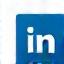 Icona LinkedIn